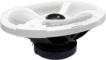 71M-p+AJ3PL._AC_UF350,